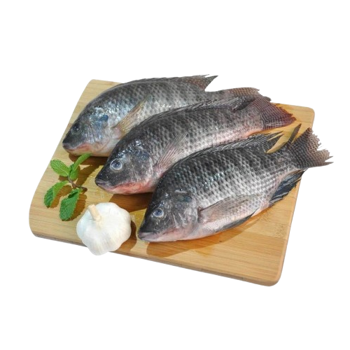 Cá Rô Sống Size 2–3 Con/Kg