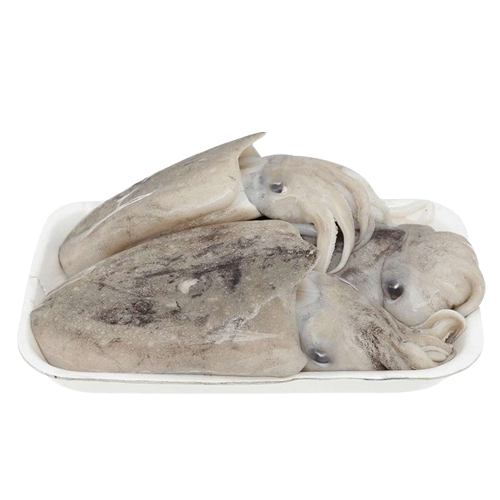 Mực Nang Đông Lạnh Còn Da Size 0,6–0,8 Kg/Con