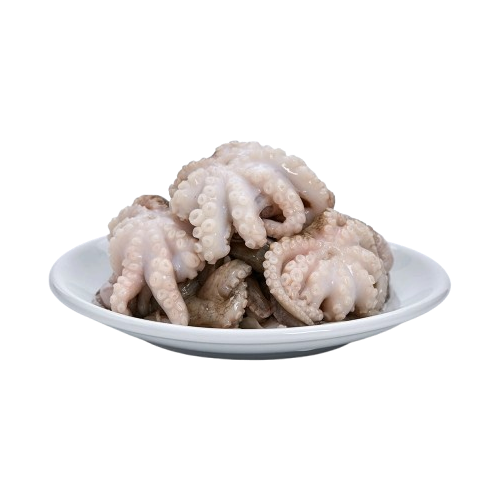 Bạch Tuộc Tươi Ngon 3–4 Con/Kg