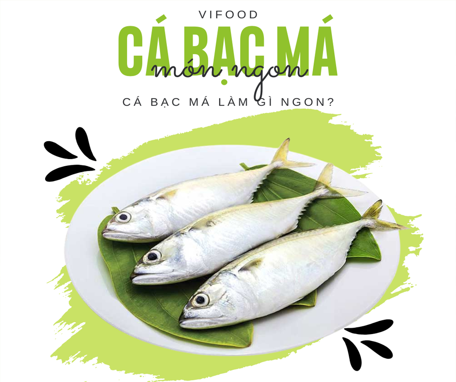 Cá Bạc Má Làm Gì Ngon? Tổng Hợp Công Thức Chế Biến Hấp Dẫn Từ Vifood
