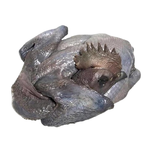 Gà Ác Tươi Size 500 – 700gr/Con