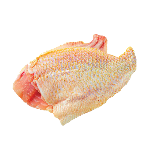 Cá Diêu Hồng Phi Lê